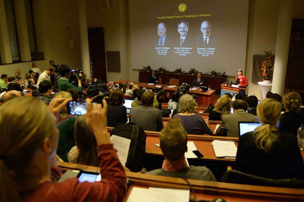 Ayer en Estocolmo fueron anunciados los ganadores del Premio Nobel de Medicina. / AFP.