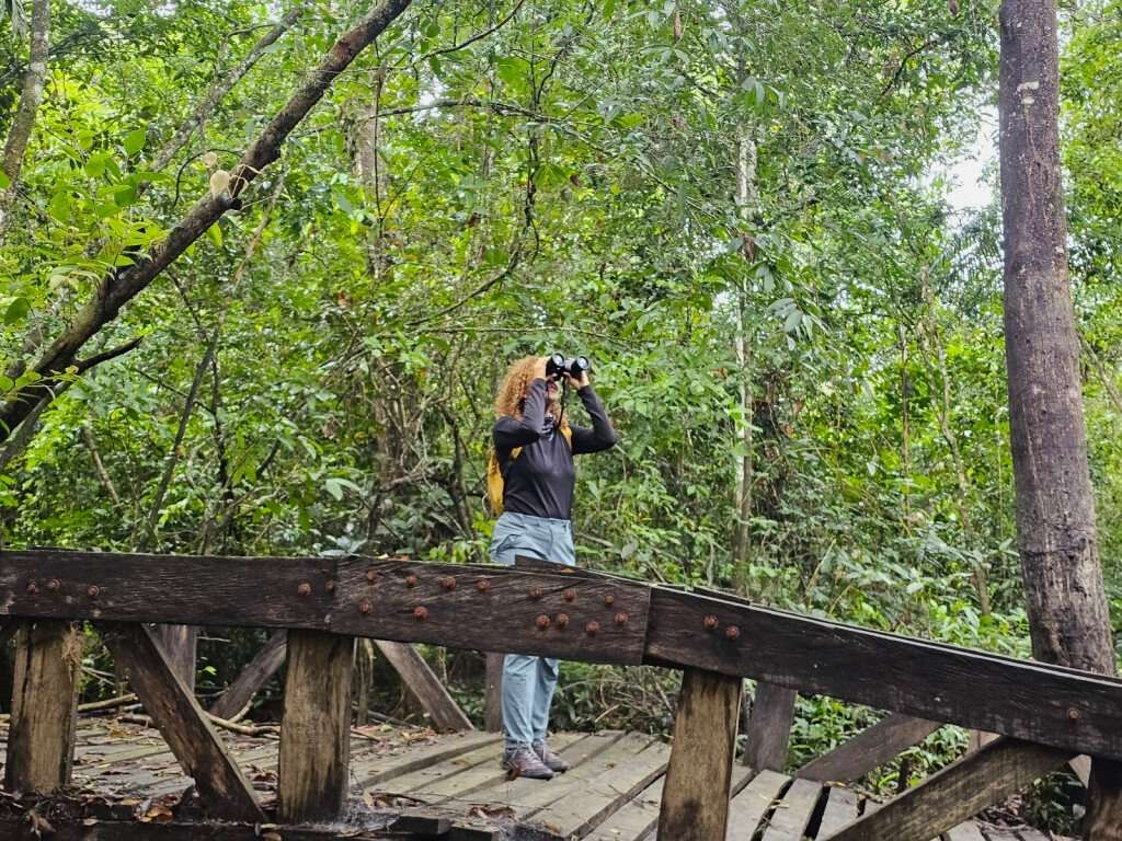 Mapiripán, territorio de paz, resiliciencia sabana y selva