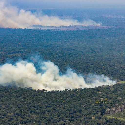 Deforestación en tierras indígenas provocó emisión de 96 millones de toneladas de CO2