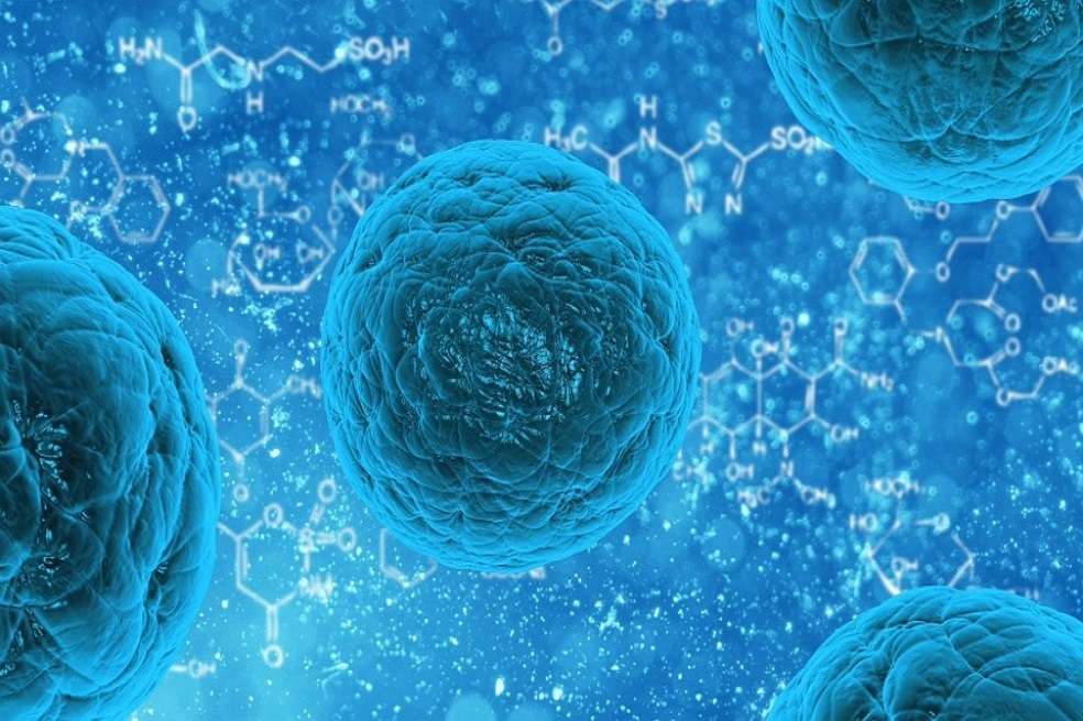 La Organización Mundial de la Salud ha elaborado una lista de bacterias para las cuales se necesitan antibióticos urgentemente. / Pixabay