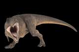 Scotty: encontrado en Canadá el Tiranosaurio rex más grande del mundo