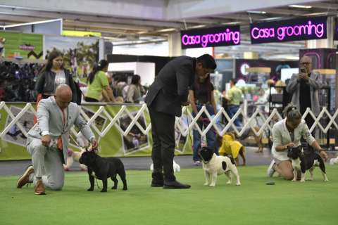 ¿Qué hacer en el tercer día de Expopet 2024? Le contamos de actividades y horarios