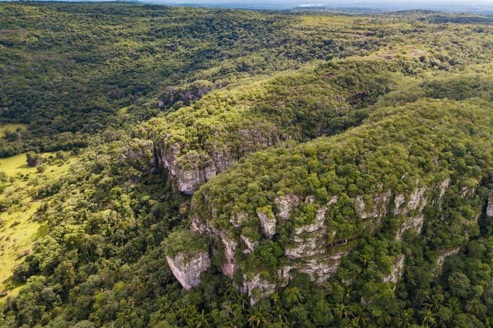 Esta región tiene una de las reservas de carbono más grandes de todo el planeta, si continúa la deforestación, se liberarían millones de toneladas de gases de efecto invernadero que harán que el cambio climático sea mucho peor de lo que se ha pronosticado.