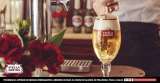 La Feria Internacional de Arte de Bogotá tuvo nombre de Stella Artois