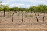 Este problema ambiental le cuesta al mundo un billón de dólares al año