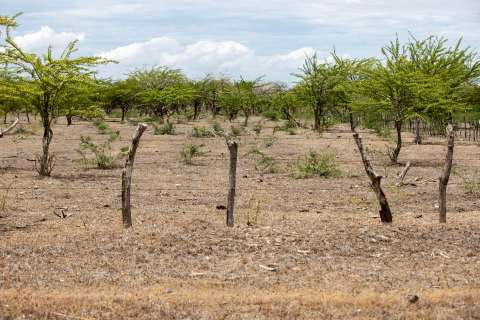 Este problema ambiental le cuesta al mundo un billón de dólares al año