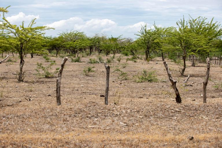 Este problema ambiental le cuesta al mundo un billón de dólares al año