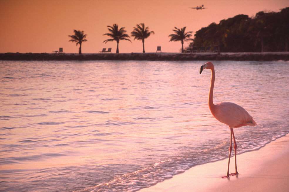 Un atardecer en Aruba. / Getty Images