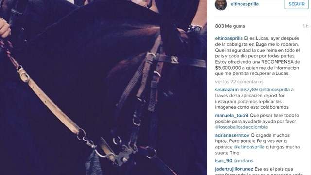 Esta fue la foto que publicó el exfutbolista en su cuenta ofreciendo una recompensa por su caballo Lucas. / Instagram