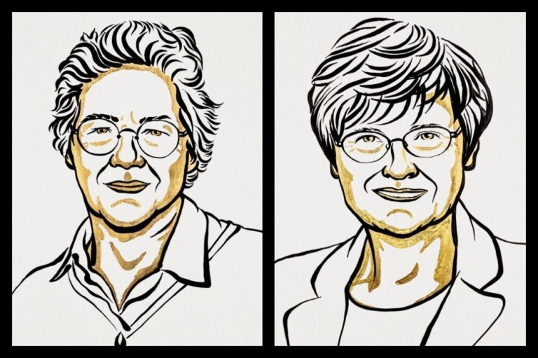 En 122 años solo 25 mujeres han ganado un Nobel de Medicina, Física o Química