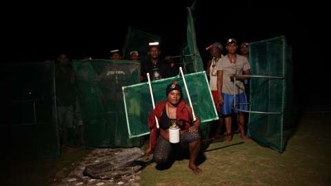 Persiguiendo anguilas: la millonaria y desconocida pesca del Caribe