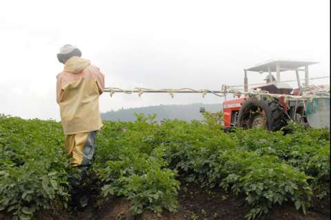 ¿Qué está pasando con el campo colombiano?