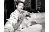 Reino Unido lanza moneda de Freddie Mercury por 40 años de Live Aid y álbum en solitario
