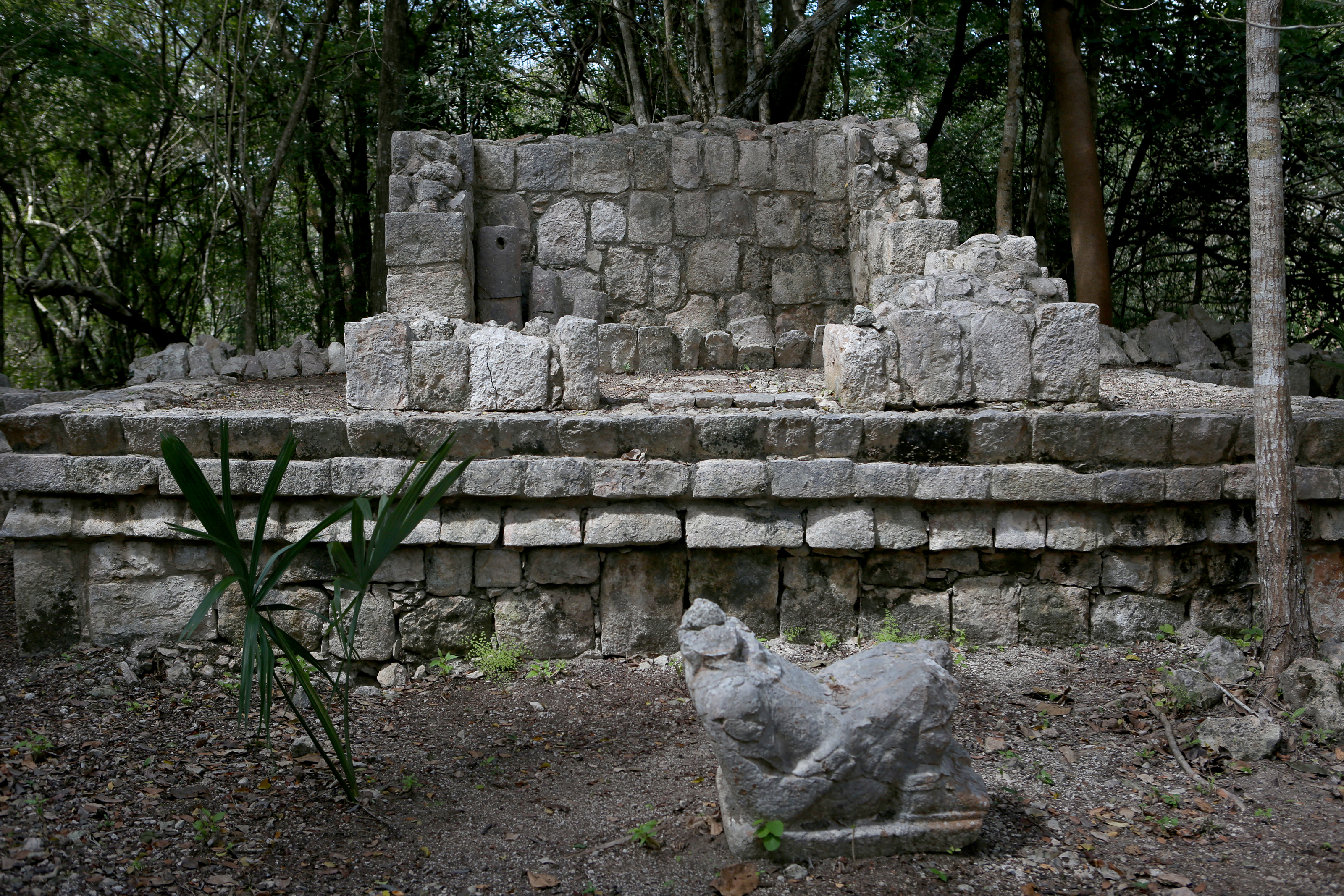 -FOTODELDÍA- MEX6109. MÉRIDA (MÉXICO), 10/02/2023.- Fotografía de la zona de Chichen Viejo, en la zona arqueológica de Chichen Itza, hoy en el municipio de Tinum, Yucatan (México). Los trabajos de excavación que se realizan en la zona arqueológica de Chichén Viejo, ubicada en el estado de Yucatán, sureste de México, han dejado al descubierto un importante hallazgo: la tumba de un personaje de élite de la dinastía maya de los Canules y el desciframiento de simbología en edificios que asemejan códices de piedra. EFE/Lorenzo Hernández