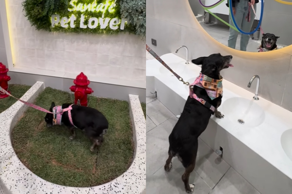 Centro Comercial de Medellín estrena el primer baño exclusivo para mascotas