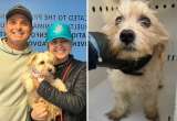 Oficial de policía adopta a perrito que el mismo rescató de un contenedor de basura