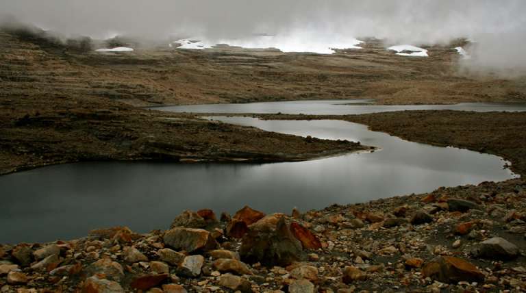 El Parque Nacional Natural el Cocuy es perfecto para quienes se interesan por la fauna y flora. Hay mamíferos terrestres como: puma, venado de cola blanca, oso de anteojos, mono cariblanco y saíno.