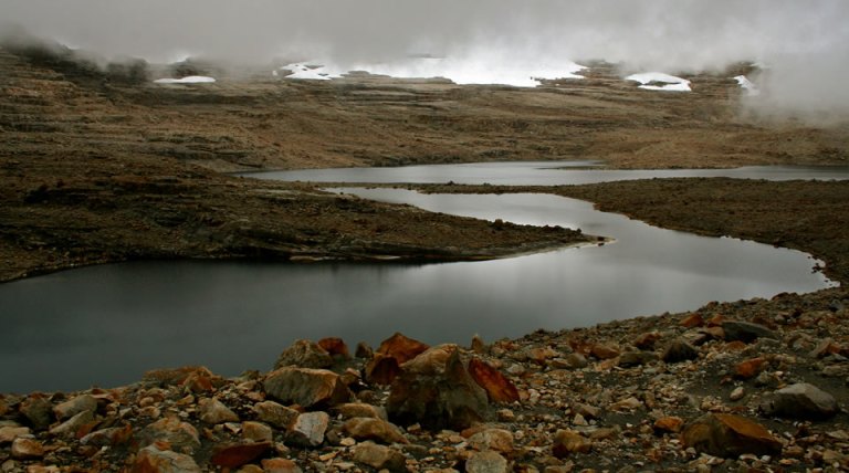 El Parque Nacional Natural el Cocuy es perfecto para quienes se interesan por la fauna y flora. Hay mamíferos terrestres como: puma, venado de cola blanca, oso de anteojos, mono cariblanco y saíno.