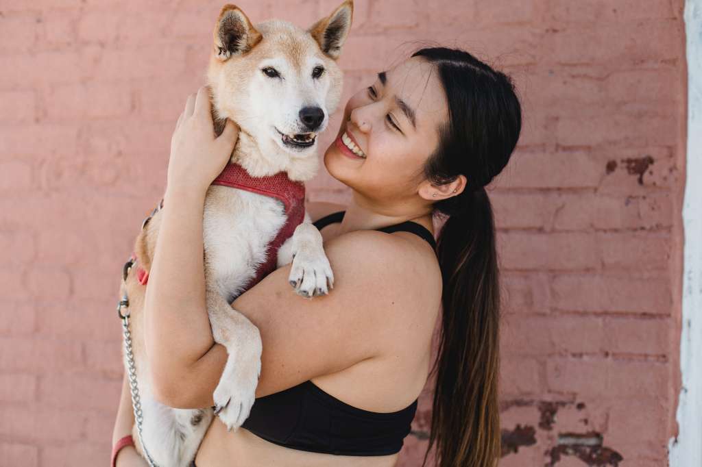 5 señales con las que tu perro demuestra que te ama