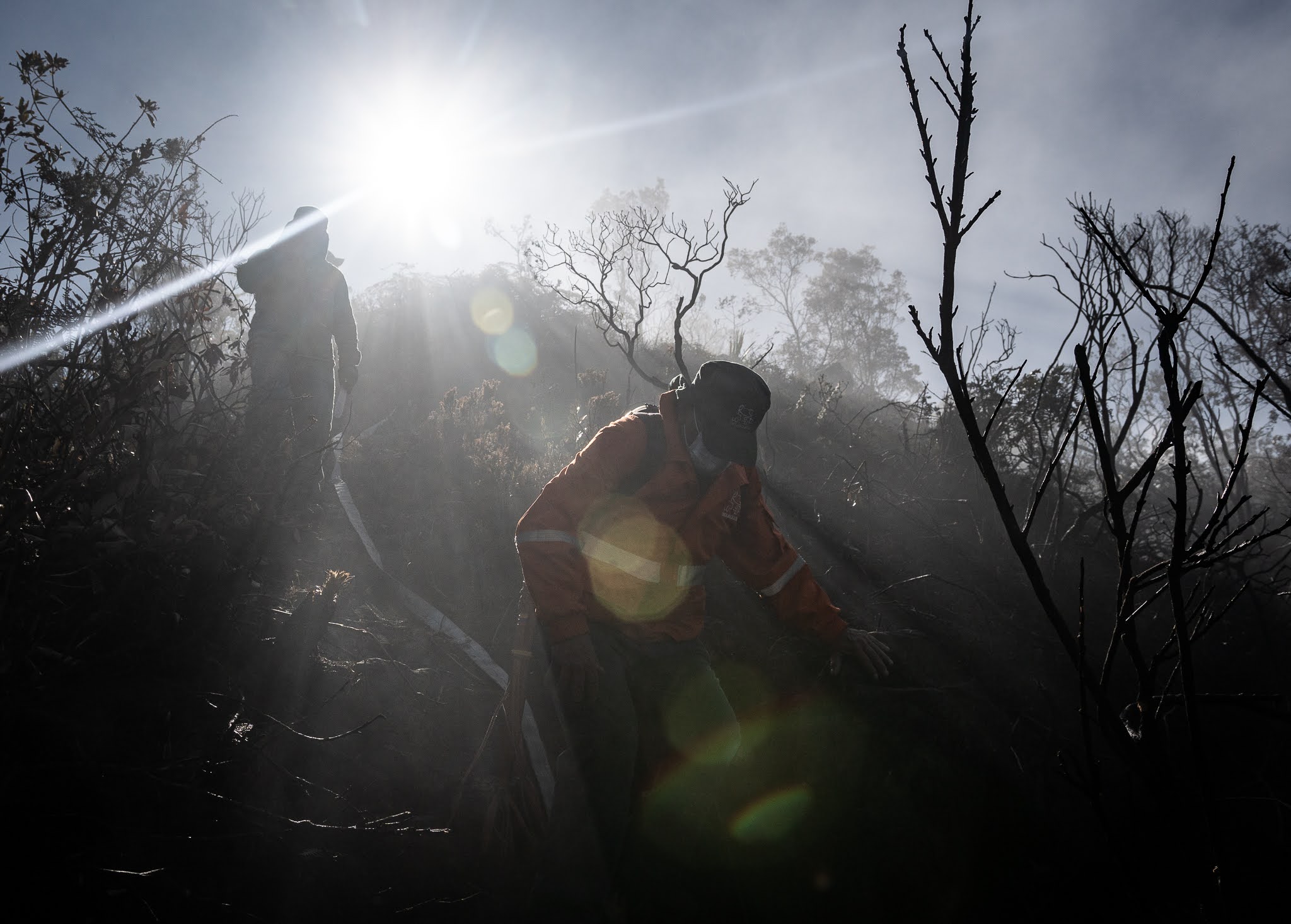 La ola de incendios causada por el fenómeno de El Niño en el arranque de 2022 ha dejado más de 12 hectáreas afectadas en los cerros orientales de Bogotá.