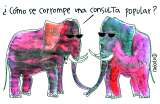 Chócolo