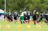 Nacional definió la lista de convocados para el juego contra Huila