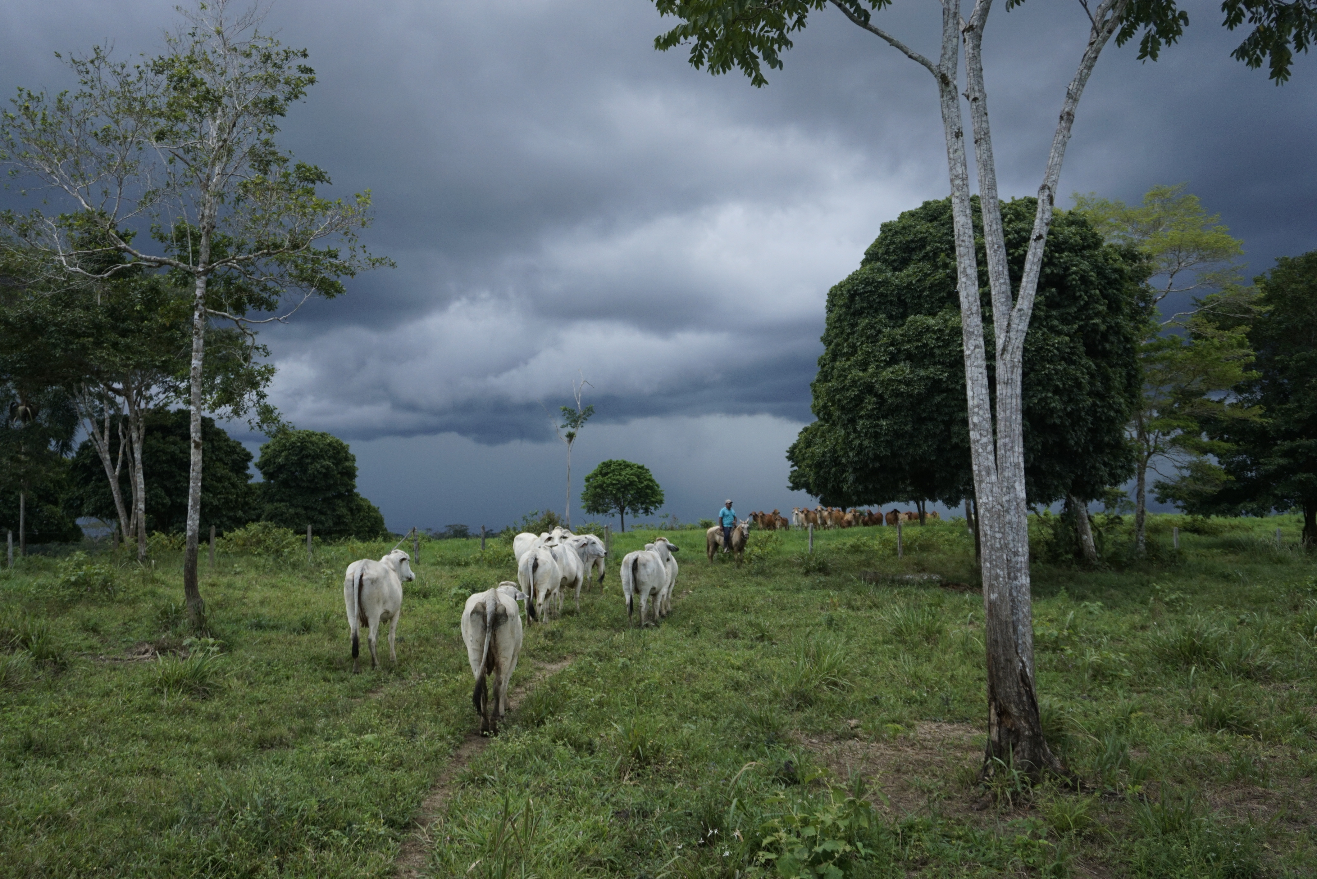 Deforestación en Chiribiquete