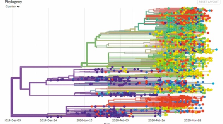 “Con el coronavirus se ha cambiado esa cultura del egoísmo científico”
