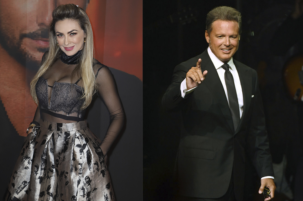 Luis Miguel y la actriz Aracely Arámbula tuvieron dos hijos, Miguel y Daniel. Un famoso vidente mexicano dice que el cantante arreglará sus asuntos con ella.