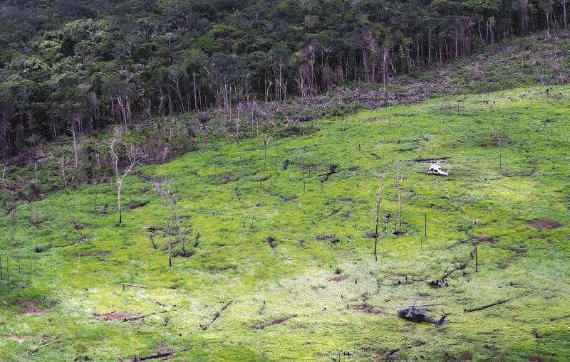 Hasta el momento, el informe confirma que ya se han utilizado 4,9 millones de bonos que suponen una pérdida de 25 millones de dólares para el Estado.