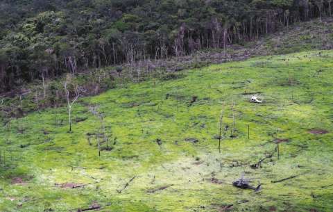 En Colombia empresas estarían comprando “bonos de carbono” que exageran resultados