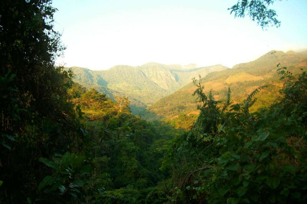 El Parque Nacional Serranía de Yariguíes (Santander) está en la zona de influencia del proyecto Hidrosogamoso . /Cortesía Alcaldía de Galán