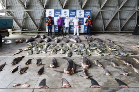 Incautan más de 1.000 kilos de pesca ilegal en el Pacífico colombiano