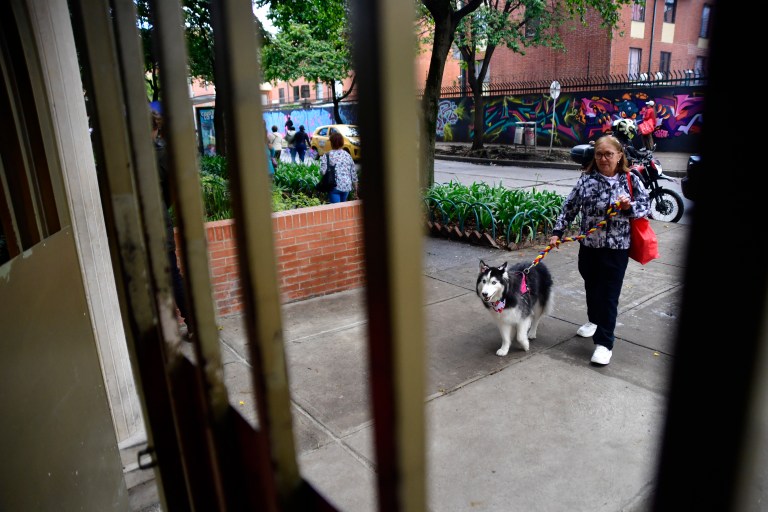 Regulación de mascotas en conjuntos: ¿qué pueden imponer las administraciones?