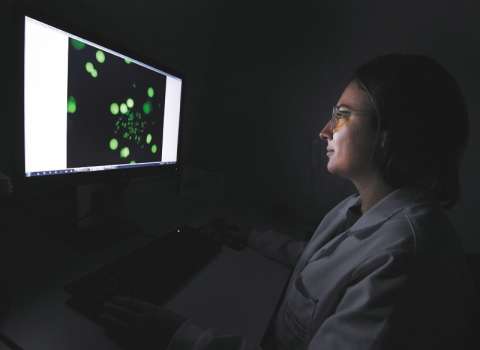 En búsqueda de los particulares genes de la leucemia mieloide en Colombia