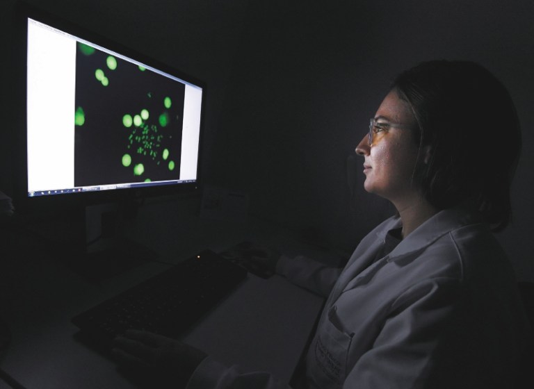 En búsqueda de los particulares genes de la leucemia mieloide en Colombia