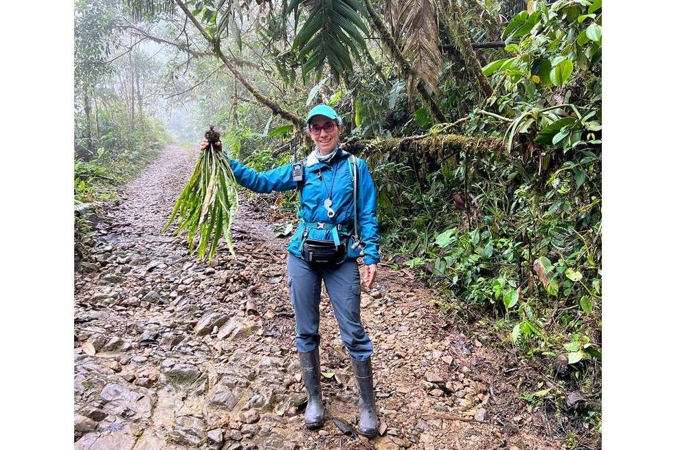 Alejandra Vasco lidera el proyecto Helechos de Colombia, en el que también trabajan los dos investigadores estadounidenses Weston Testo y Michael Sundue.