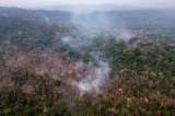 Deforestación está empujando a la Amazonia al colapso: científicos hacen un nuevo llamado