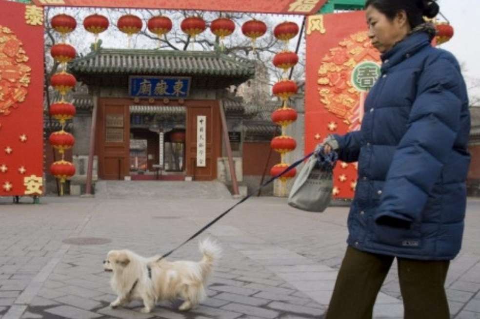 Una ciudad china prohíbe pasear perros durante el día. EFE/Adrian Bradshaw