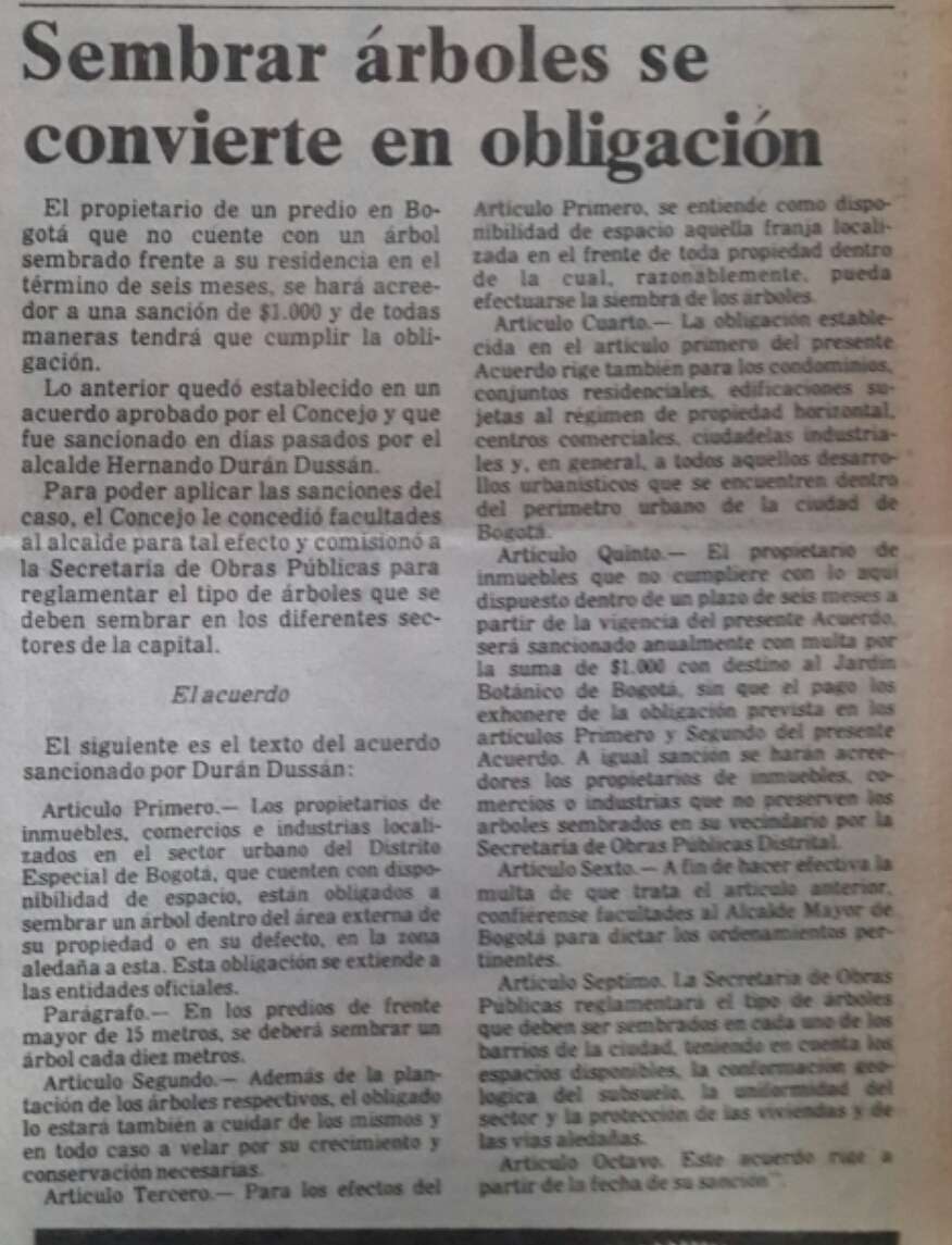 Lugar del árbol en el Sector A de la Zona Veredal mariana Páez.