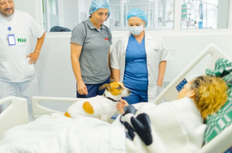 Moca, la primera perrita en brindar apoyo a pacientes de un hospital del Quindío