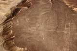 Se encontraron más de 50 nuevas figuras de las famosas líneas de Nazca
