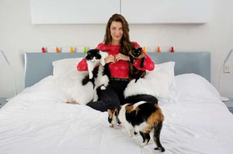 “Los gatos son mejores mascotas que los perros”:  Norma Nivia