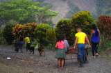 Combates entre Clan del Golfo y disidencias de las Farc tienen en riesgo a Ituango
