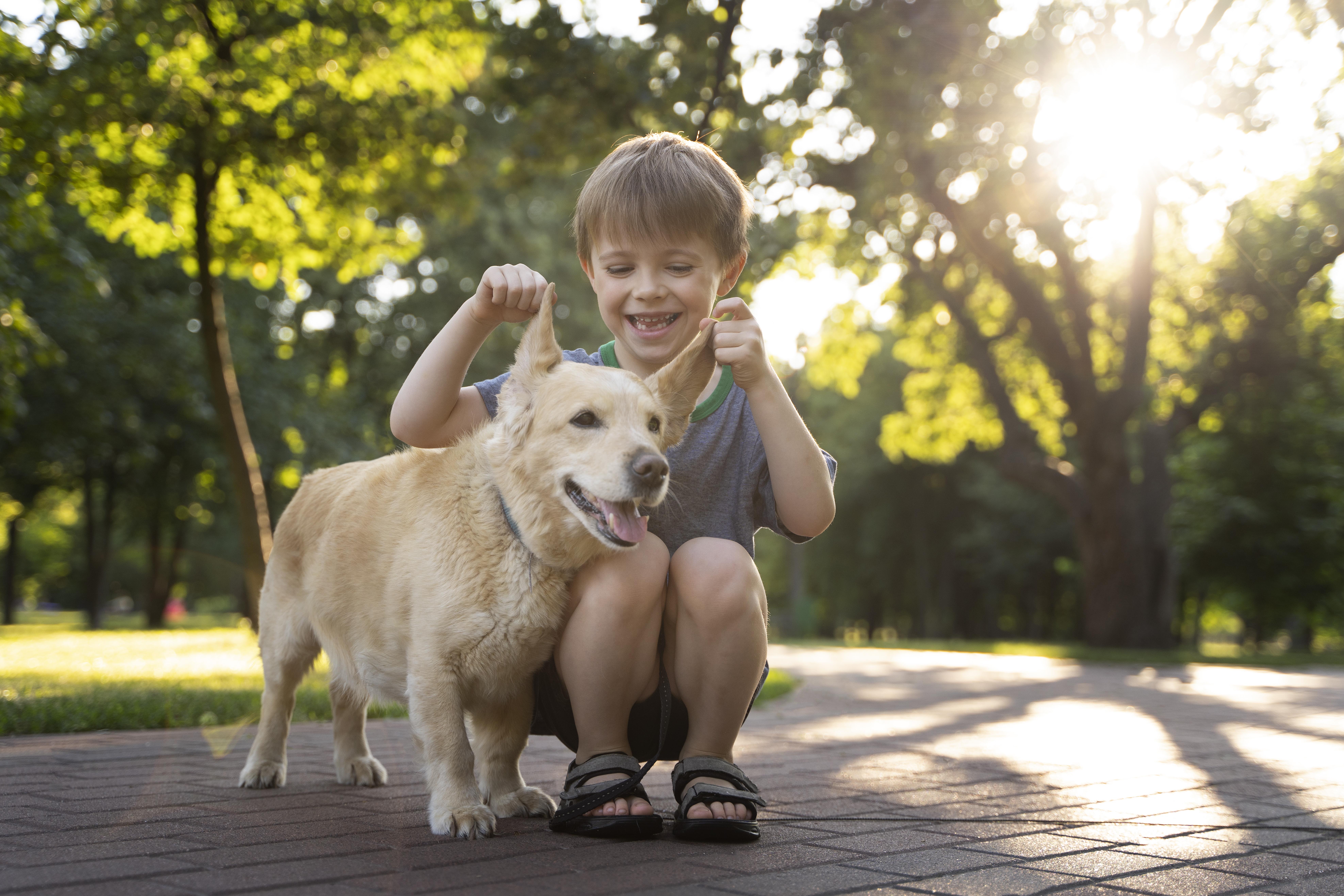 La socialización de la mascota es el determinante para saber qué tan apto es para convivir con niños. Lo que se sabe de estas razas son solo patrones en común, por lo que estas mismas características se pueden encontrar en caninos de diferente tipo.
