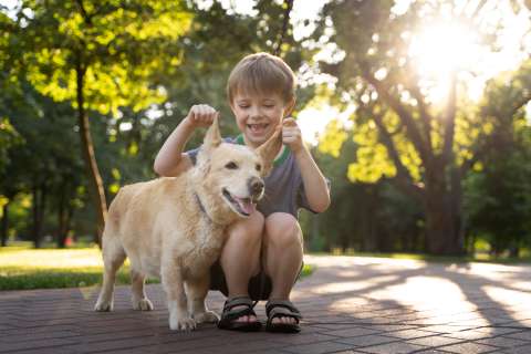 ¿Los perros pueden detectar a las malas personas?