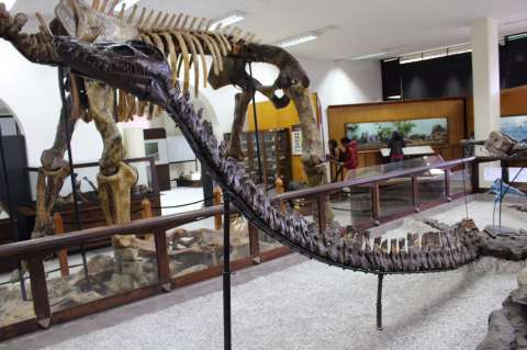 En Colombia no estuvo el monstruo del Lago Ness, pero sí hubo uno parecido