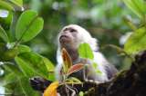 Las maravillas naturales con las que Colombia deslumbra en NatGeo