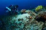 Descubrir y cuidar el mar: talleres para niños y familias en el Museo del Mar