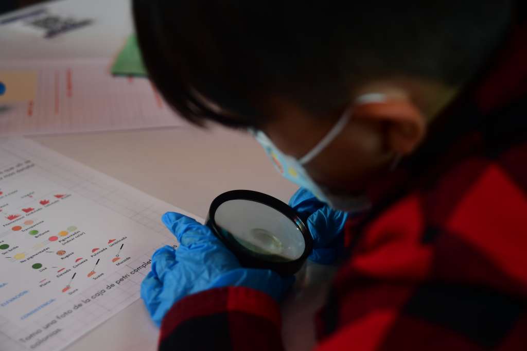 Curso de espías para niños en esta zona de Bogotá